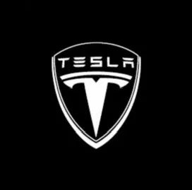 Car Door Logo Lights (1 Pair)